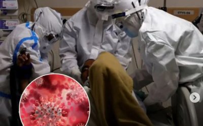 Asya'da Nipah virüsü alarmı