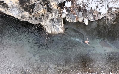 Arapgir’de Dondurucu Soğuklara Meydan Okuyan Bir Yaşam