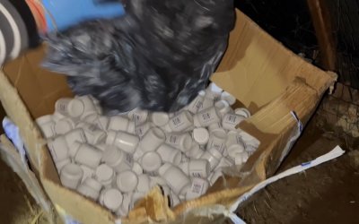 Zehir Tacirlerine Darbe: On Binlerce Hap ve Silah Ele Geçirildi