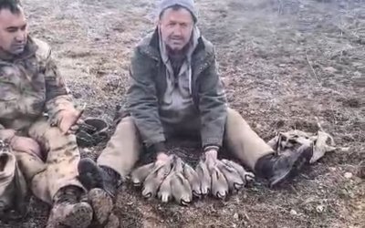 Malatya’da Keklik Popülasyonu İçin Saha Çalışması Yapıldı