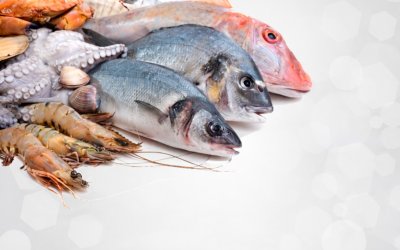 Malatya’da Su Ürünleri Av Yasağı Başlıyor