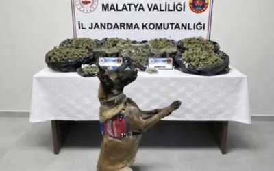 Malatya’da Uyuşturucu Operasyonu: 2 Şüpheli Gözaltında