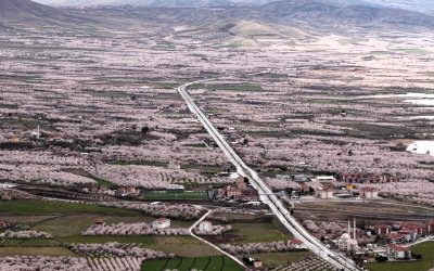 Kayısı Cenneti Malatya Beyaza Büründü: Çiçekler Kartpostallık Görüntüler Oluşturdu