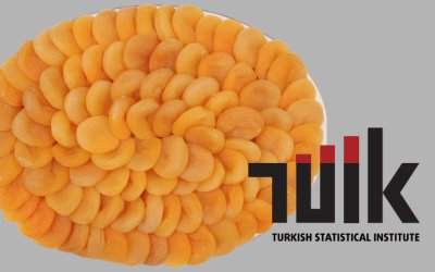 Kayısı ve Zerdali Rekor Seviyede
