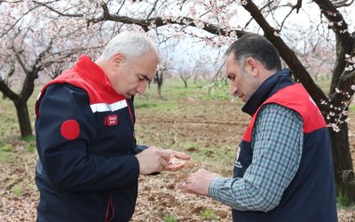 Malatya Tarım Müdürlüğü Dolu Etkisini İnceledi