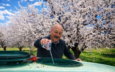 Zirai Dona Karşı Zemzemli Önlem
