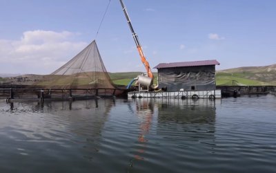 Malatya’da Alabalık Üretimi 7 Bin 500 Tona Ulaştı