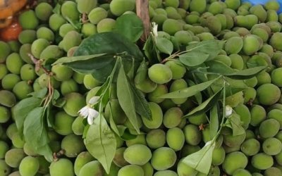 Malatya’da Çağla Tezgâhlarda, Fiyatlar 200 TL’yi Gördü