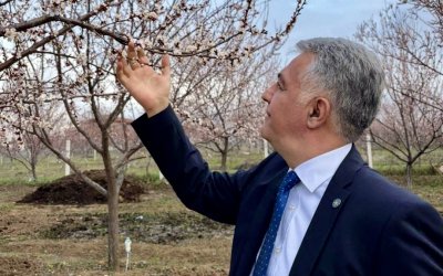 Karakurt: “Kayısıyı Korumak Malatya’nın Geleceğini Korumaktır”