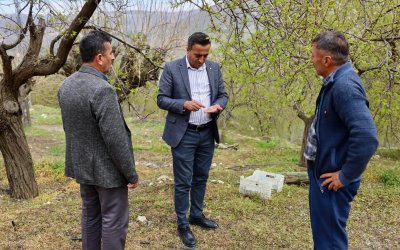 Başkan Ulutaş, Doludan Etkilenen Kayısı Üreticilerini Ziyaret Etti