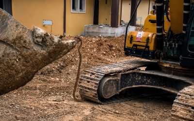 İşçileri Korkutan Yılan Kepçe Yardımıyla Çıkarıldı