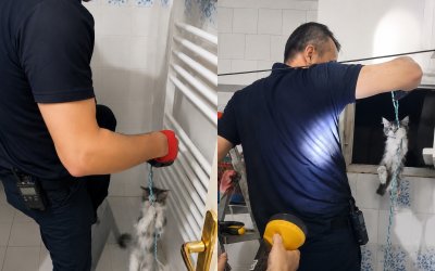 Yavru Kedinin İmdadına İtfaiye Yetişti