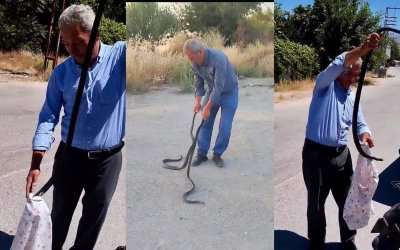 Malatya’nın “Yılan Savar” Muhtarı Bu Kez İki Dev Kara Yılanı Yakaladı