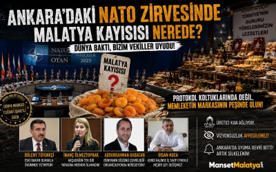 NATO Zirvesinde Kayısı Skandalı: "Ankara’da Uyuma Devri Bitti, Silkelenin!"