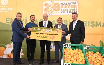 En İyi Yaş Kayısılar Ödüllendirildi: Doğanşehir Tüm Birincilikleri Kaptı