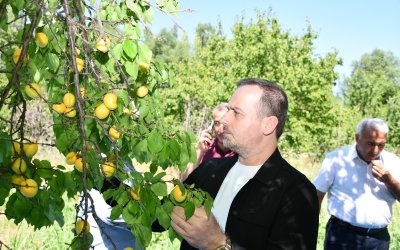 Karademir "Kayısı Malatya'nın Can Damarıdır"