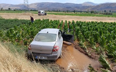 Otomobil Tütün Tarlasına Devrildi: 3 Yaralı