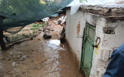Hekimhan’da Sağanak Dereleri Taşırdı, Kayısı Sergenleri Zarar Gördü