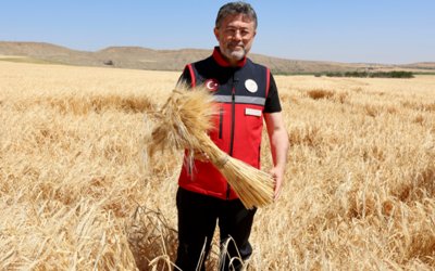 Bakan Yumaklı: TMO Üreticilere 120 Milyar Lira Ödeme Yaptı