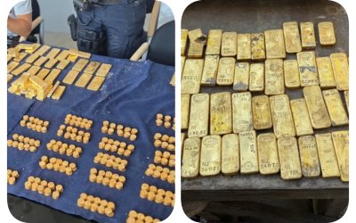 Belçika'da 18 Yaşındaki Öğrenci 10,5 Milyon Dolarlık Altın Buldu