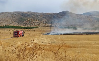Anız Yangınında 40 Dönüm Alan Zarar Gördü