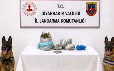 Diyarbakır’da 217 Bin 608 Kök Kenevir ve Skunk İmha Edildi