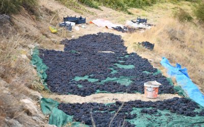 Yeşilyurt’un Değerleri Projesinin Yeni Durağı Banazı Oldu