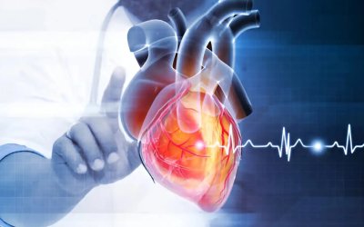 Kalp Hastalıklarının Yüzde 80’i Önlenebilir Risklerin Kontrolüyle Engellenebilir