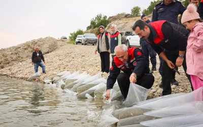 Malatya’da 1 Milyon 300 Bin Sazan Yavrusu Suya Bırakıldı