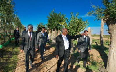 İstanbul’da Ağaç Tartışması, Malatya’da Örnek Uygulama Türkiye Gündeminde