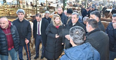 Malatya Canlı Hayvan Pazarı İçin Yeni Proje Geliyor