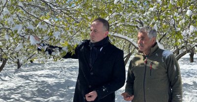 Çiftçinin Kâbusu: Bir Gecede Umutlar Söndü