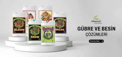 Bitki Yetiştiriciliğinde Verimi Artıran 5 Etkili Yöntem