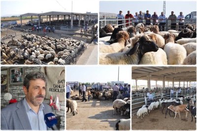 Besicilerden bayram öncesi açıklama: Kurbanlık sıkıntısı yok