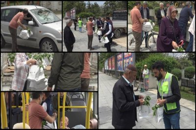 Halka ücretsiz fide dağıtıldı