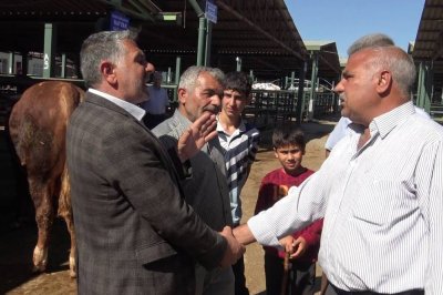 Kurban Bayramı yaklaştı pazarlıklar kızıştı