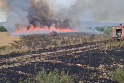 Malatya'da 41 noktada yangın çıktı