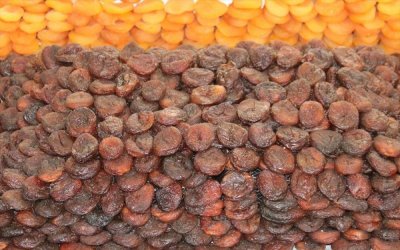 Türkiye'den 2023'te 408 Milyon Dolarlık Kuru Kayısı İhracatı