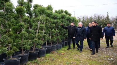 Yeşilyurt Belediyesi fidanlık alanı, Yeşilyurt’a nefes oluyor