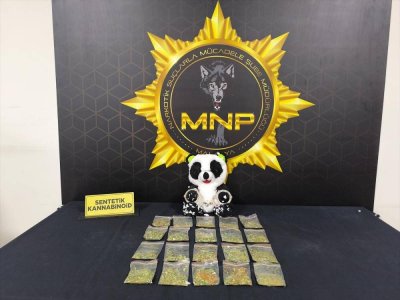 Uyuşturucu operasyonunda yakalanan 12 şüpheli tutuklandı