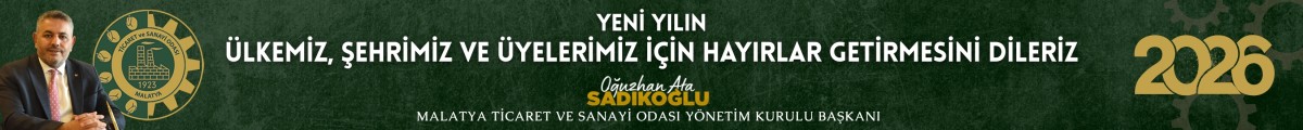 yeni yıl